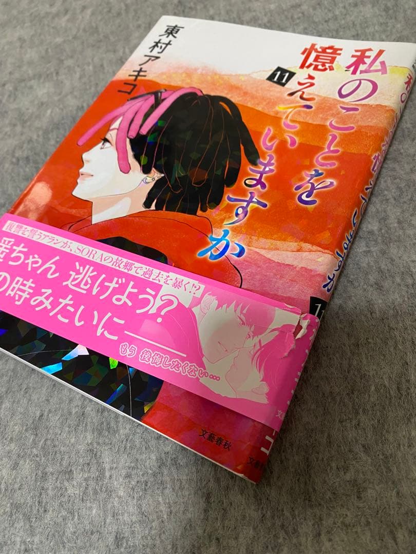 【全巻セット】私のことを憶えていますか1～14巻