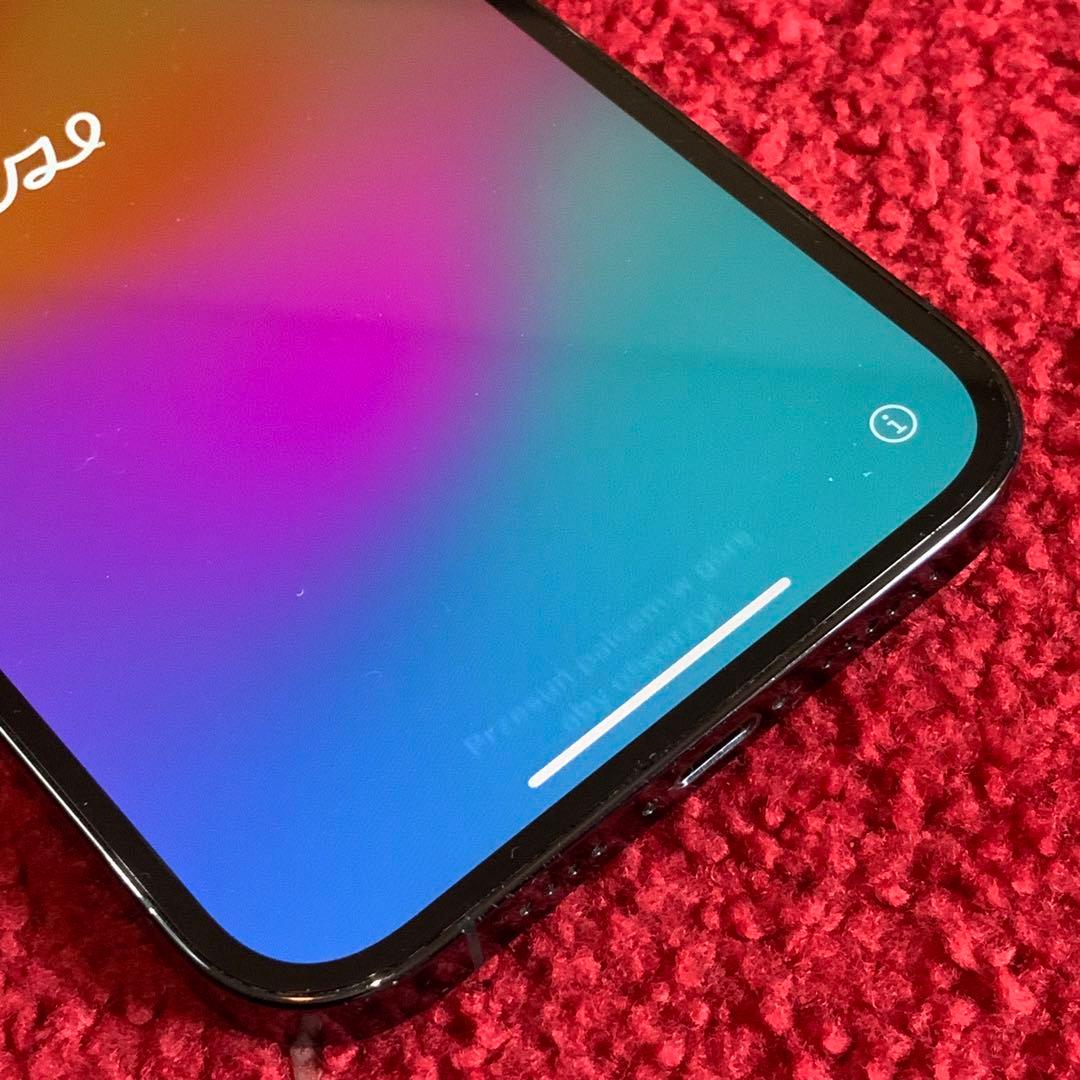 【美品！】iPhone 12 Pro Max パシフィックブルー 256GB