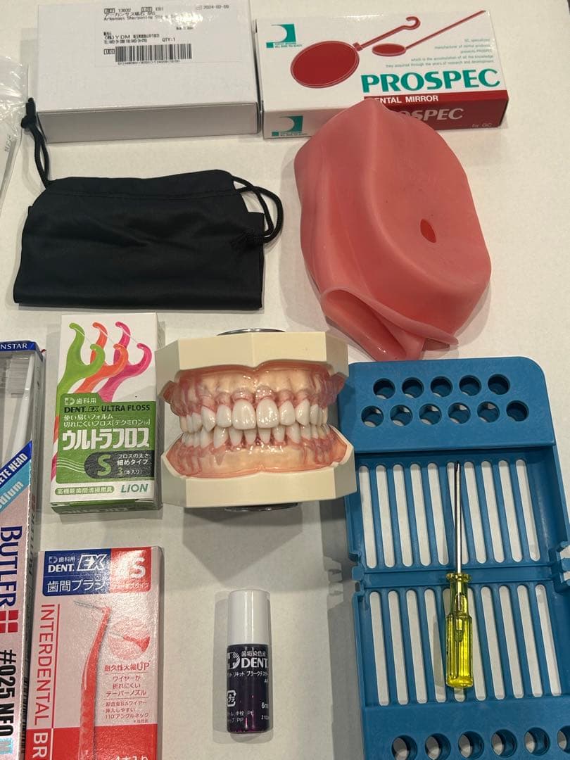 歯科衛生士 ニッシン 歯科衛生士セット 実習用模型　顎模型付き