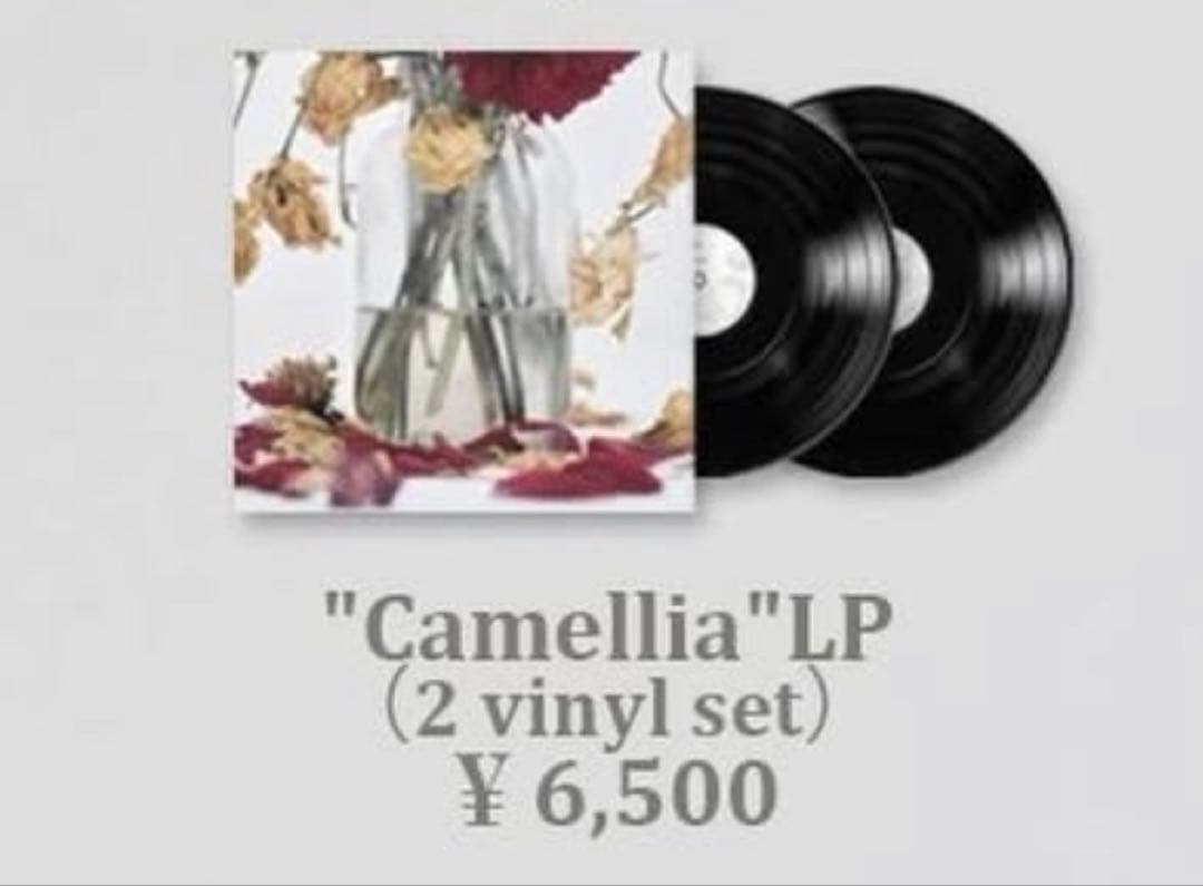 唾奇 武道館Camellia LP (2 vinyl set)
