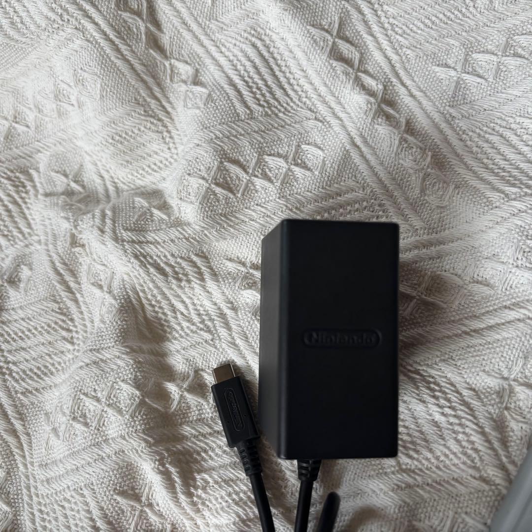 Nintendo Switch Lite ポケモンデザイン グレー ジャンク品