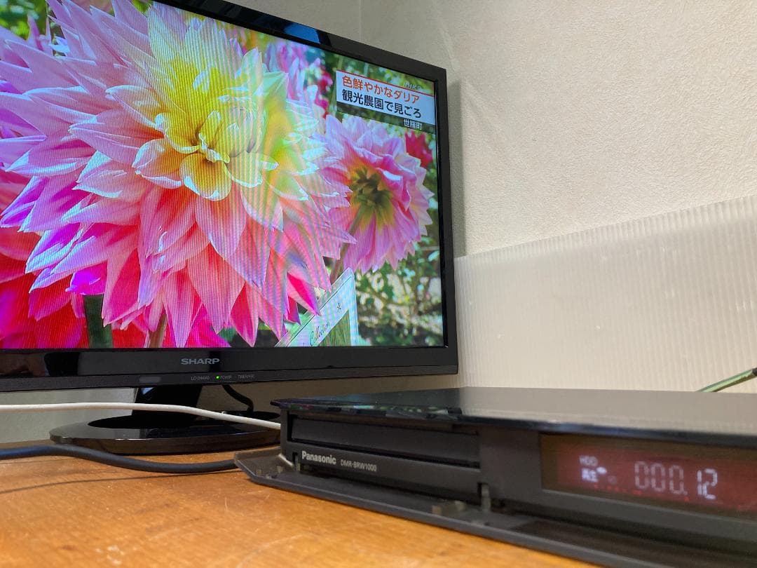 Panasonic パナソニック BD レコーダー DMR-BRW1000
