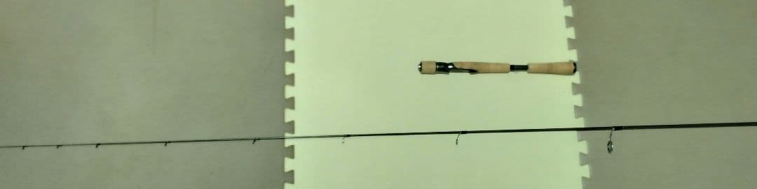 BLX SG 6101L+FS ソリッドティップ仕様