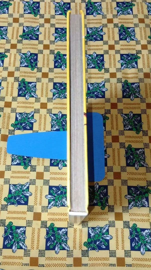 石森章太郎の名作絵どうわ たからじま