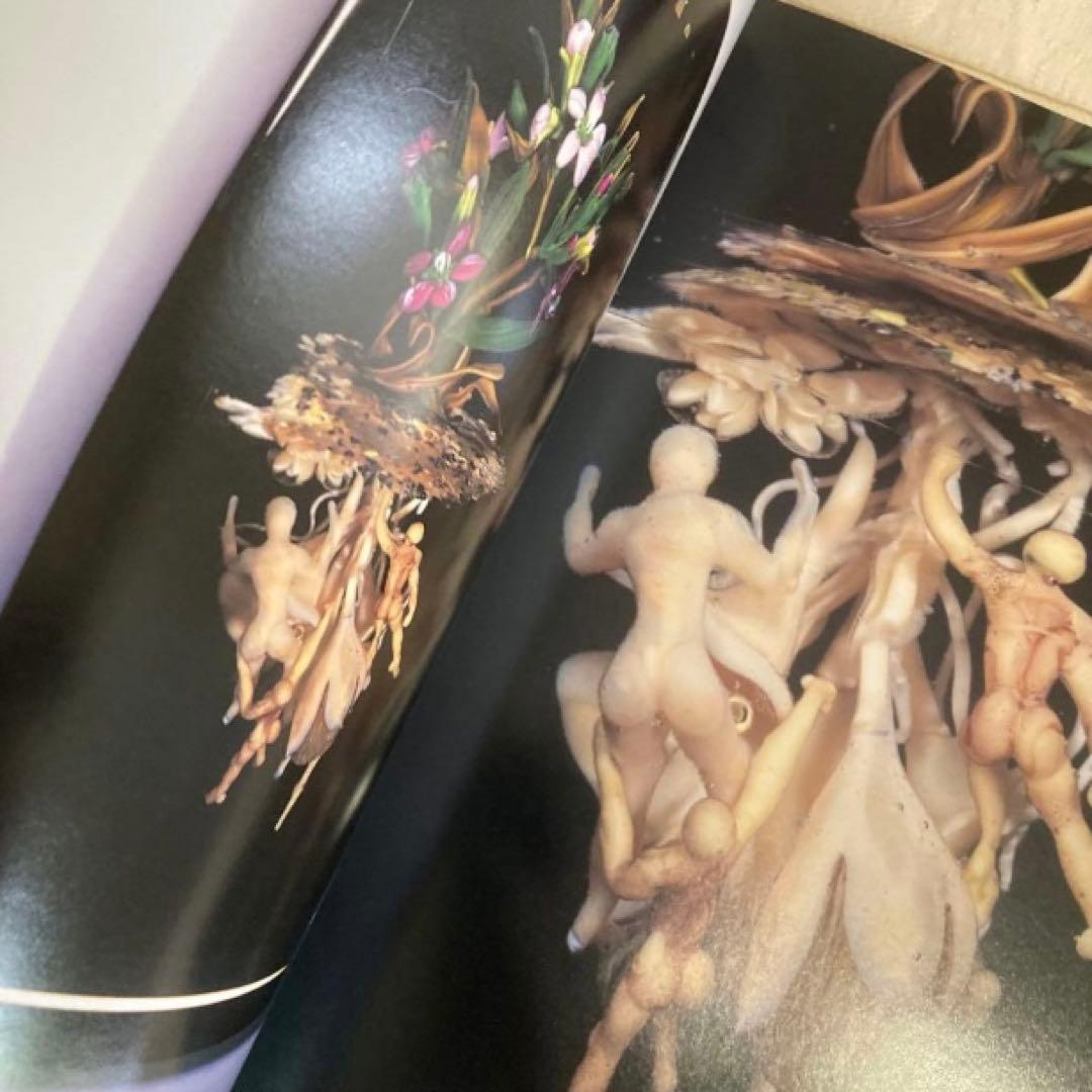 Paul J. Stankard: homage to nature レア⭐️匿名