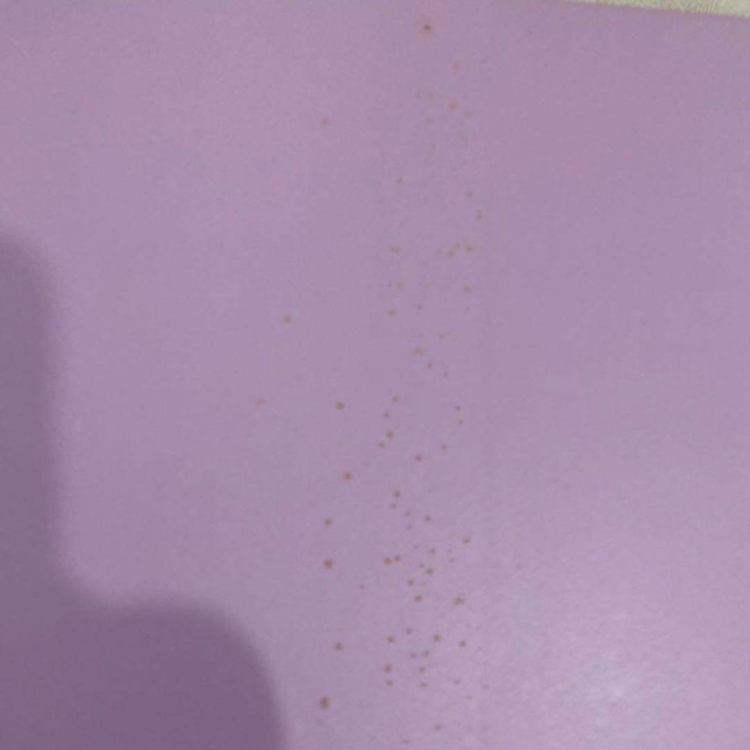 Paul J. Stankard: homage to nature レア⭐️匿名