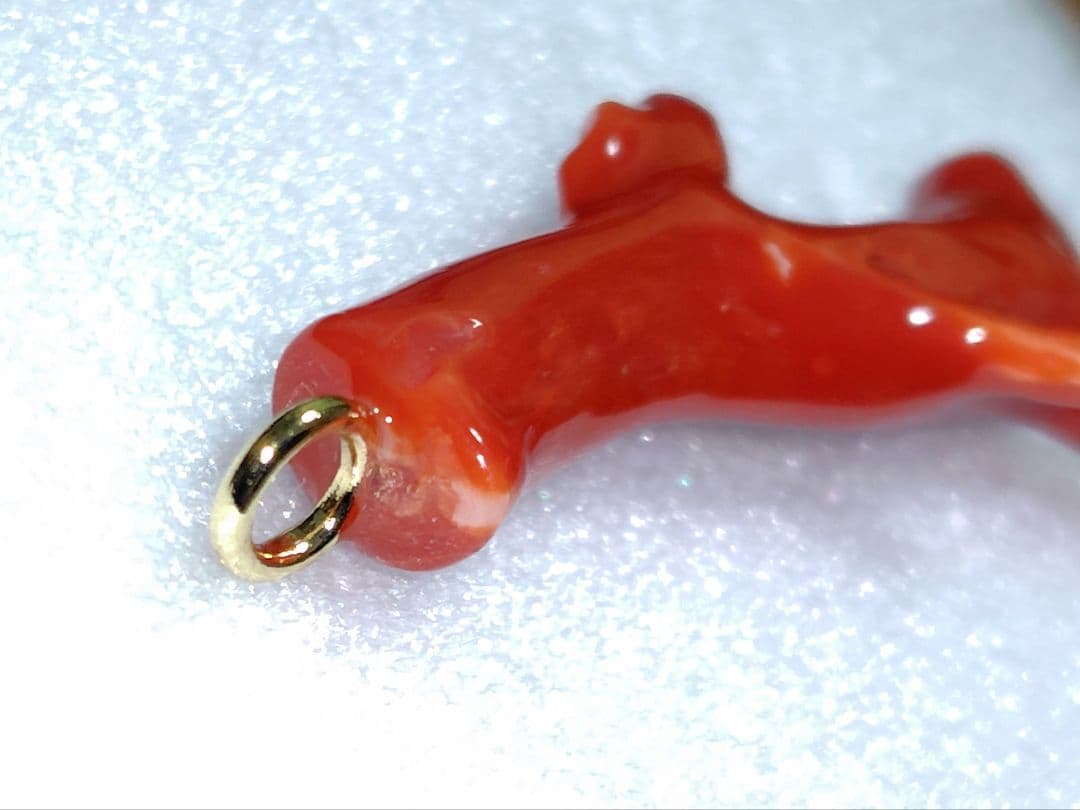 【チョウ】血赤珊瑚 ペンダント ネックレス 枝 無染色