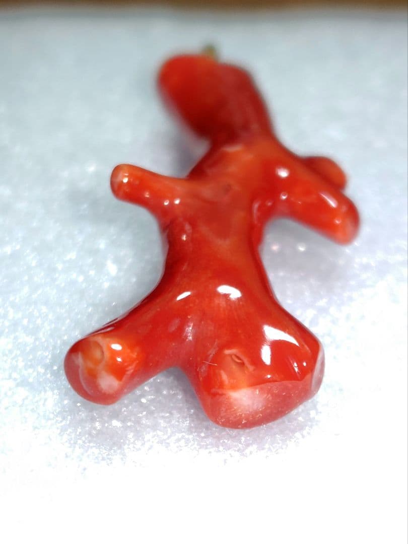 【チョウ】血赤珊瑚 ペンダント ネックレス 枝 無染色