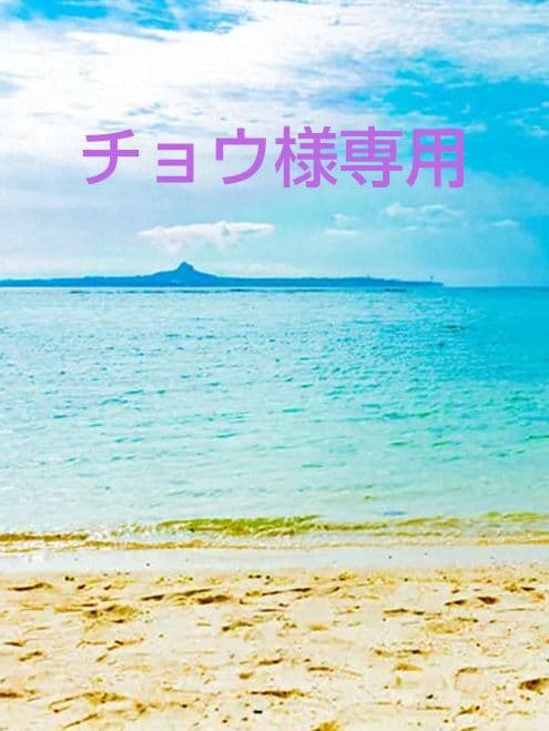 【チョウ】血赤珊瑚 ペンダント ネックレス 枝 無染色