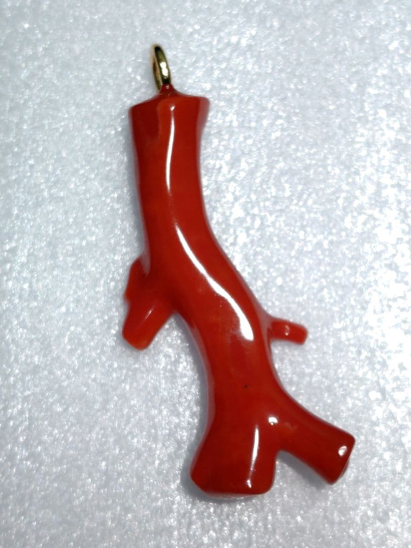 【チョウ】血赤珊瑚 ペンダント ネックレス 枝 無染色