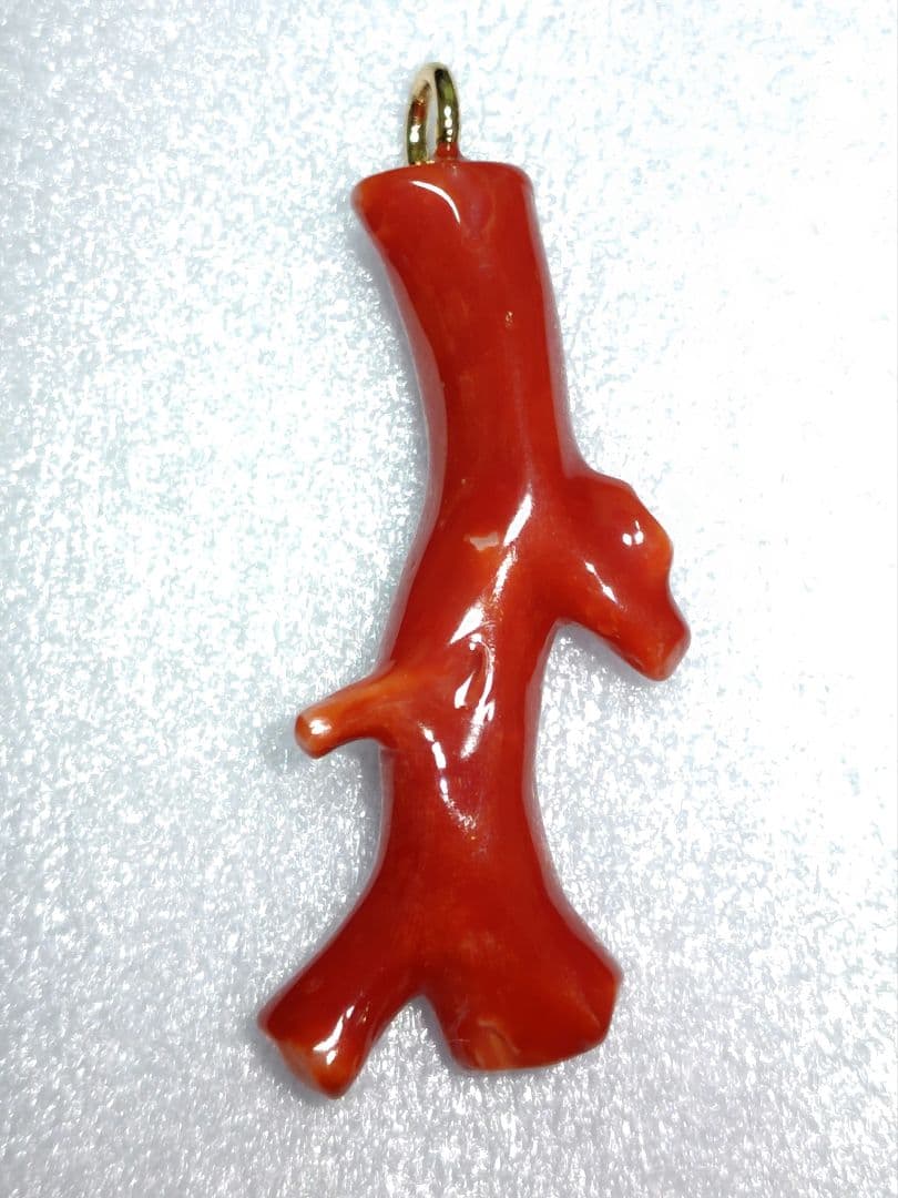 【チョウ】血赤珊瑚 ペンダント ネックレス 枝 無染色