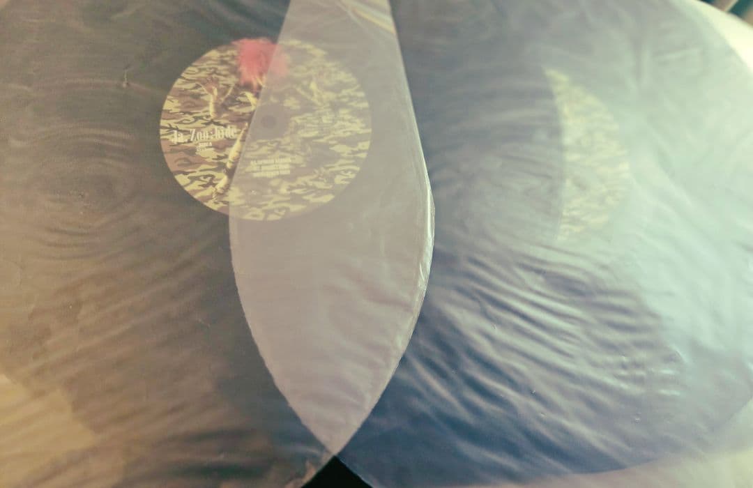 t*m様 極美品!hide　ja zoo 帯付き!インサート付き!オマケ付き!ア