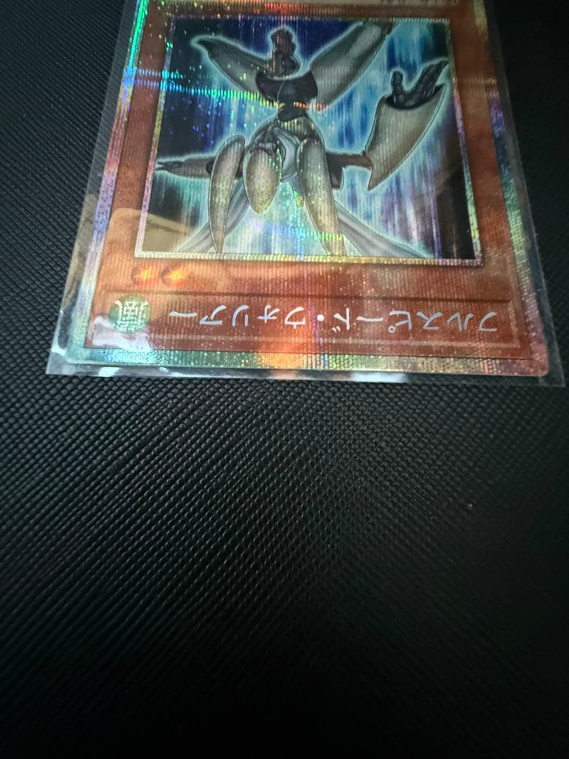 フルスピード・ウォリアー プリシク