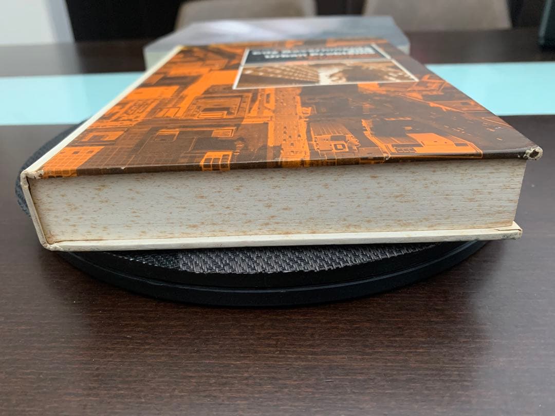 希少　City Governments and Urban Problems