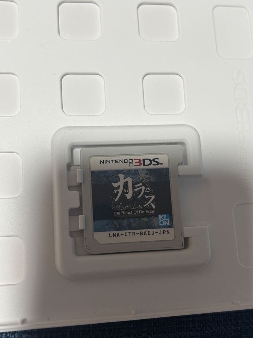 カラス - The Beast Of Re:Eden