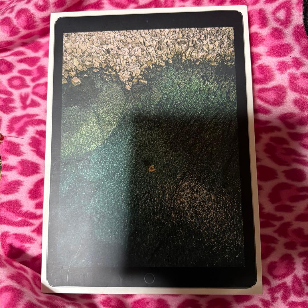 iPad Pro 12.9インチ　docomo