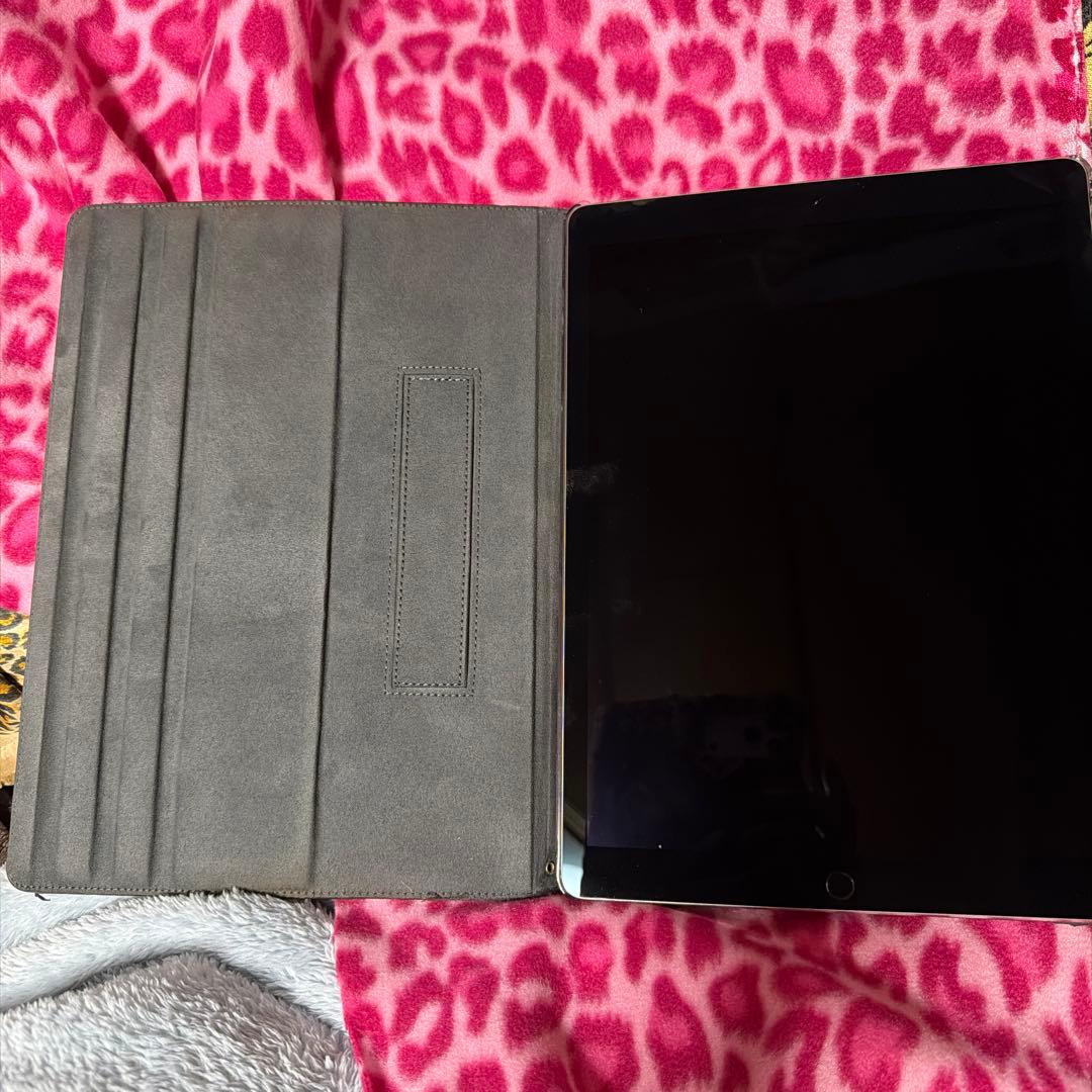 iPad Pro 12.9インチ　docomo