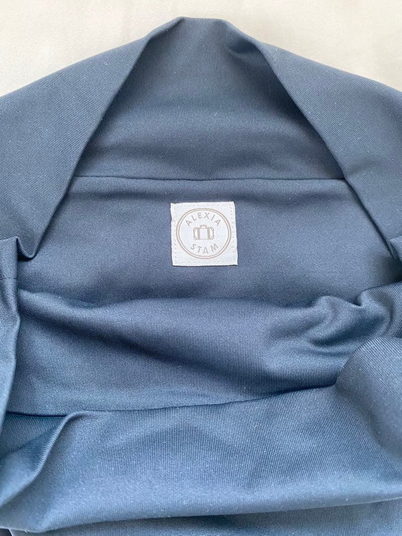 アリシアスタン　水着　上下