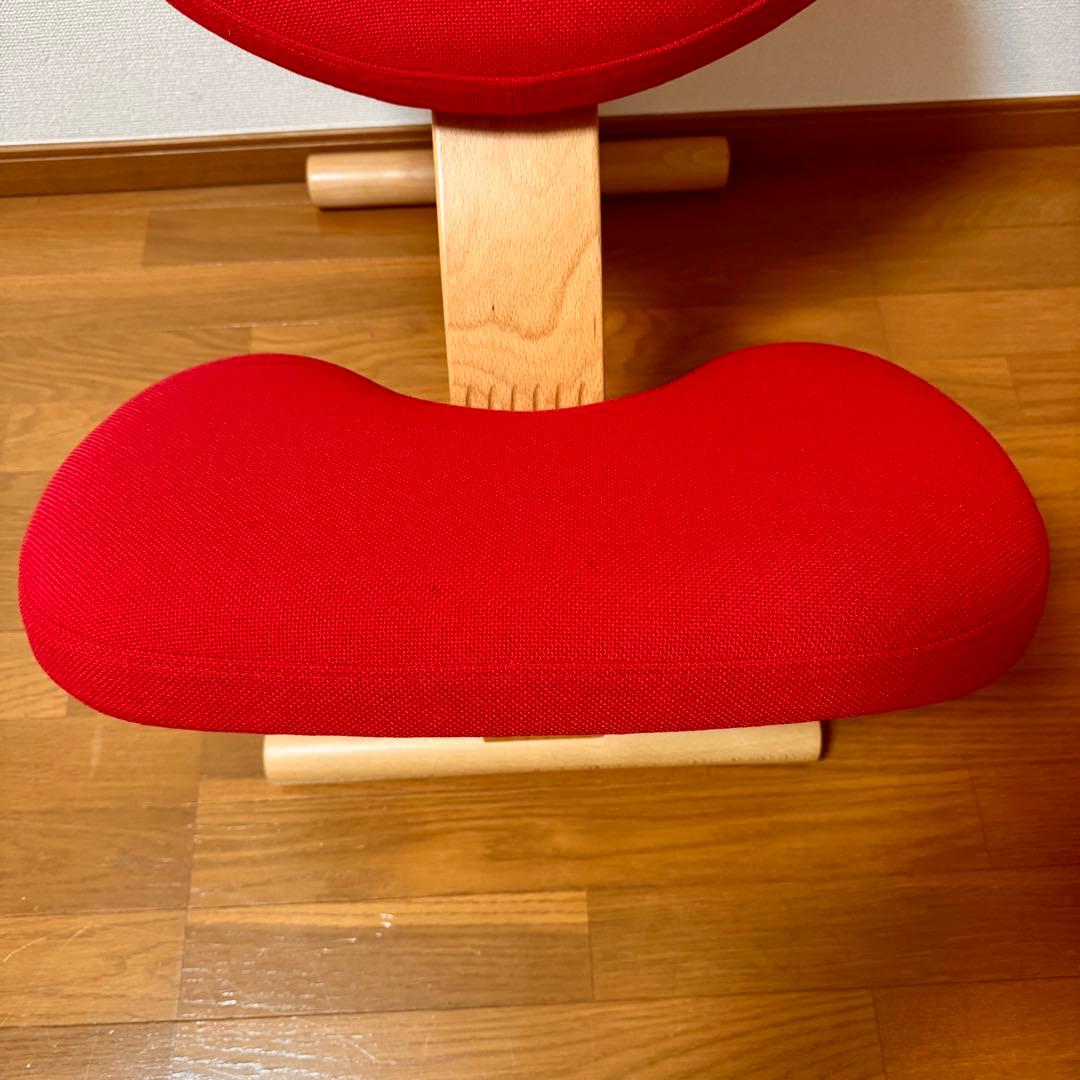 【美品】バランスイージー Rybo リボ社 バランスチェア 姿勢改善 カバー付き