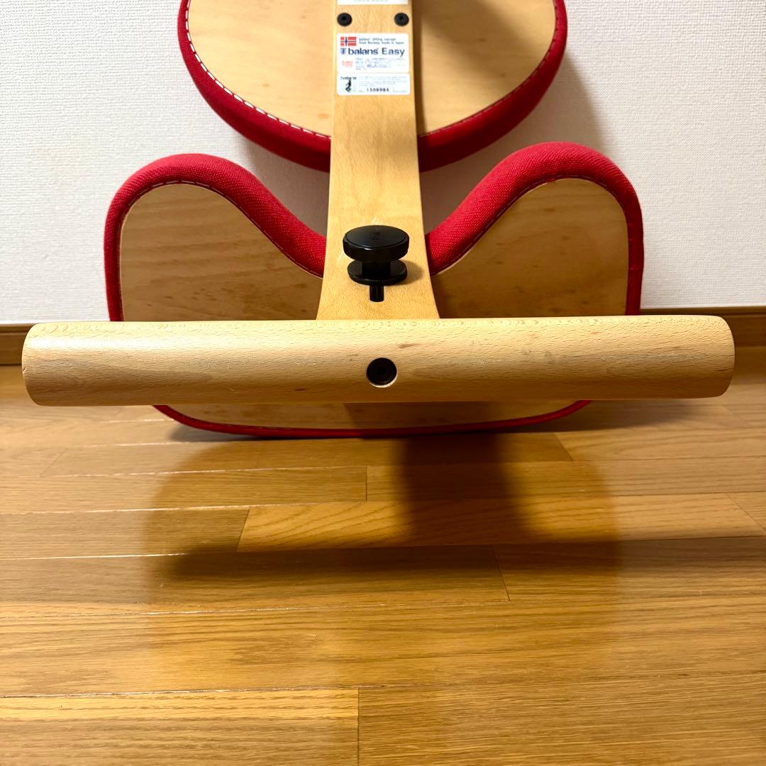 【美品】バランスイージー Rybo リボ社 バランスチェア 姿勢改善 カバー付き