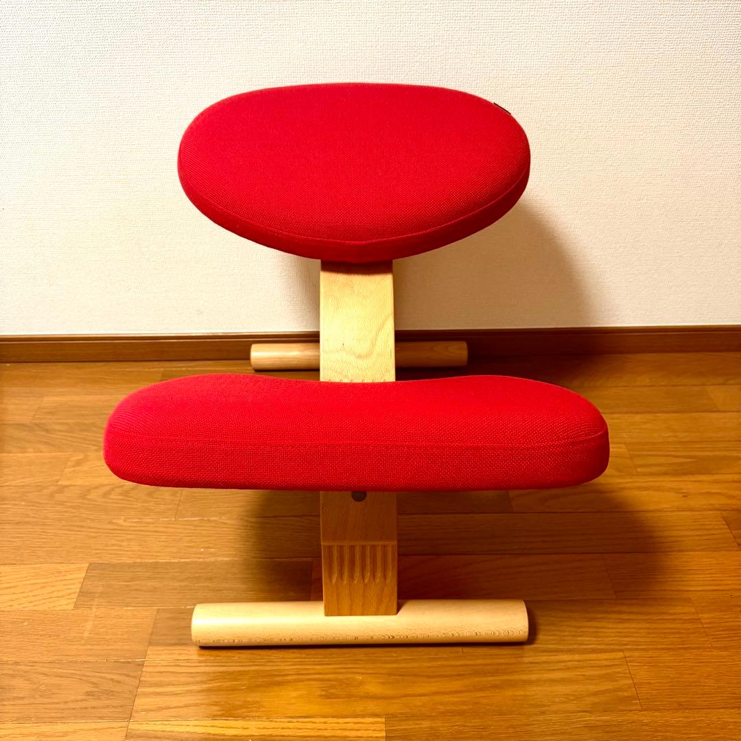 【美品】バランスイージー Rybo リボ社 バランスチェア 姿勢改善 カバー付き