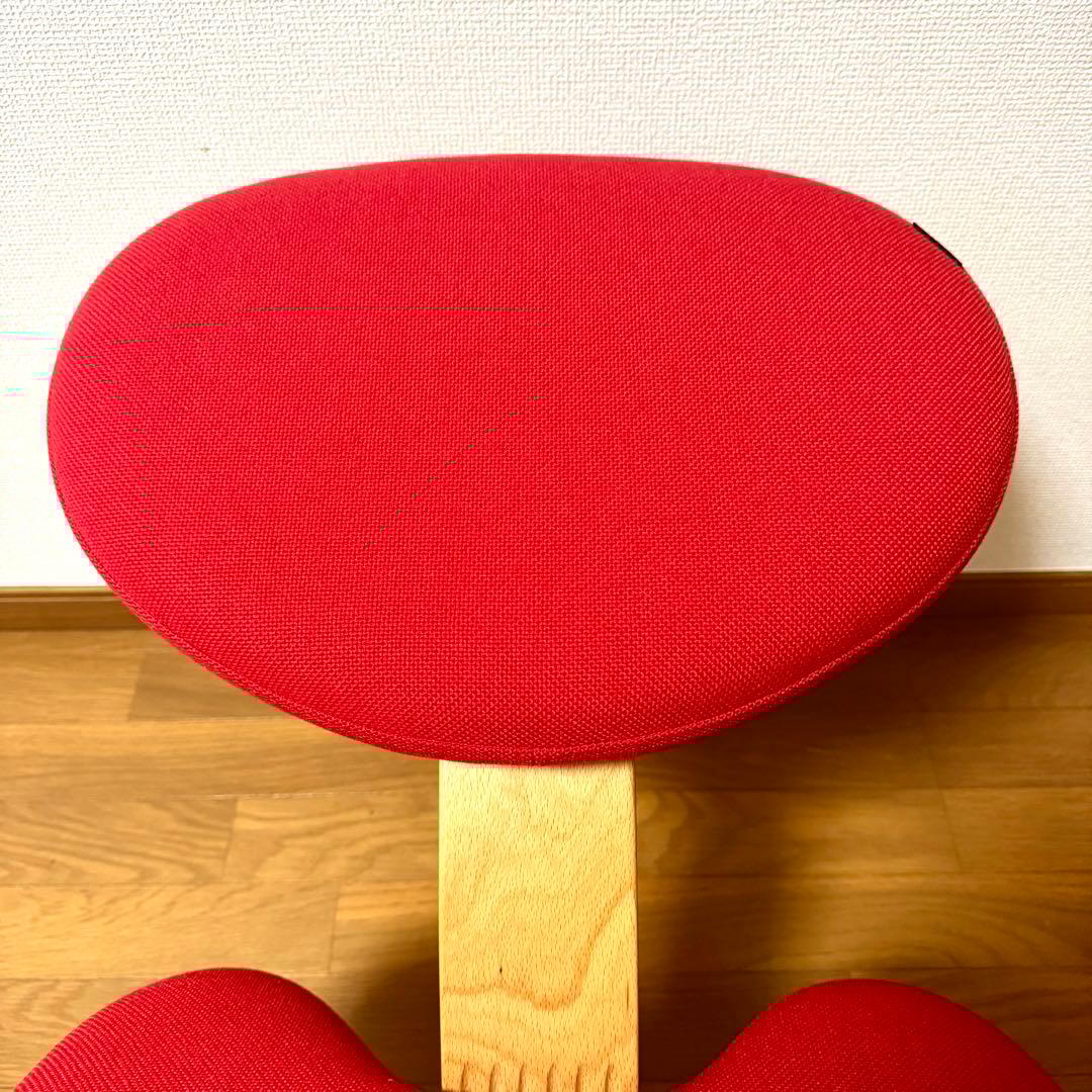 【美品】バランスイージー Rybo リボ社 バランスチェア 姿勢改善 カバー付き