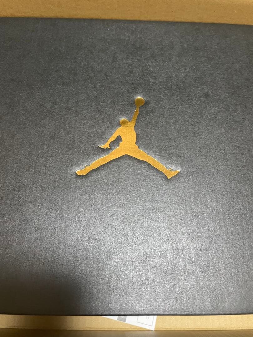 NIKE AIR JORDAN 1 LOW GOLF ブラック/グレー 25.5