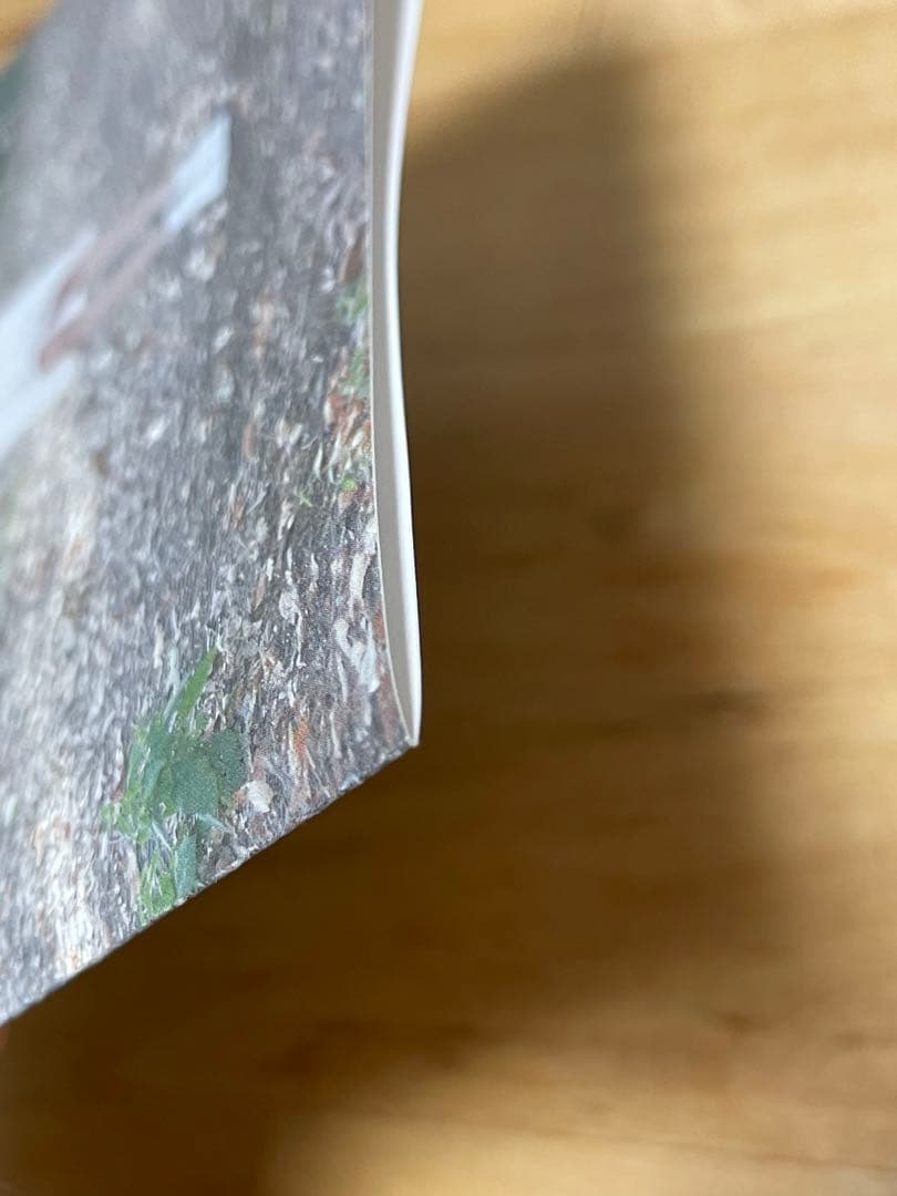 【水曜値下げ】【帯付き】indigo la End「冬の、夕.ep」　廃盤　希少