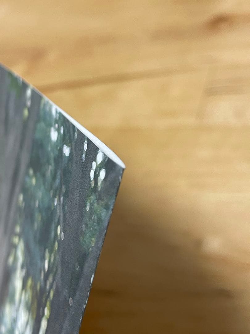 【水曜値下げ】【帯付き】indigo la End「冬の、夕.ep」　廃盤　希少