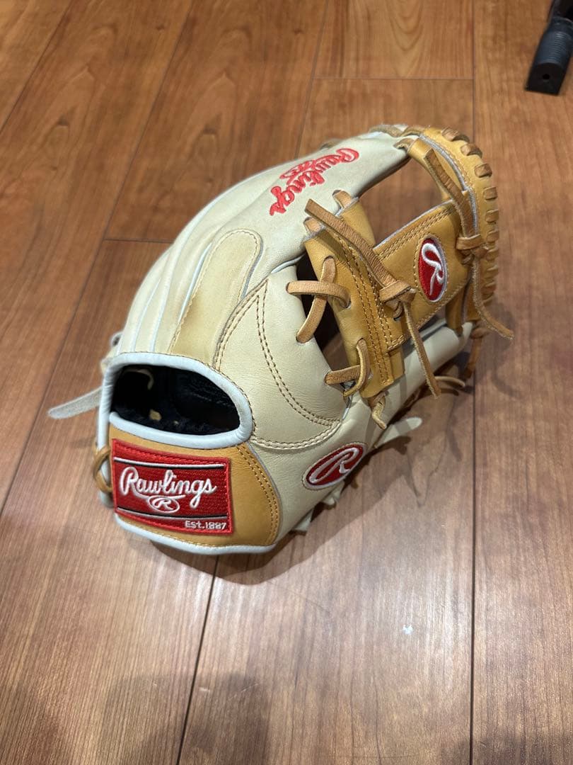Rawlings 軟式グローブ The Gold Glove Co.