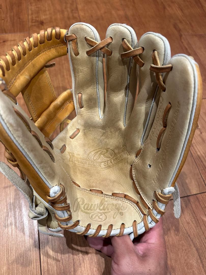 Rawlings 軟式グローブ The Gold Glove Co.