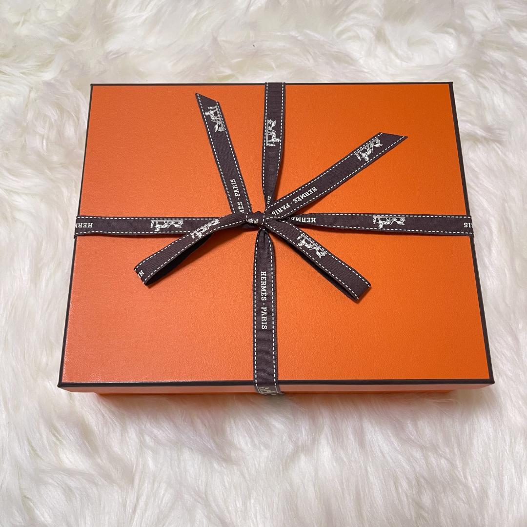 エルメス　ディナープレート 〈赤道直下のスケッチ〉2枚セット　新品未使用品