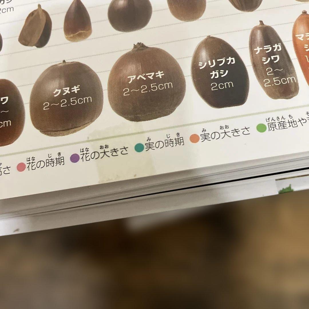 小学館図鑑NEO 　18冊 セット 一部DVD付き　小学館　図鑑　NEO