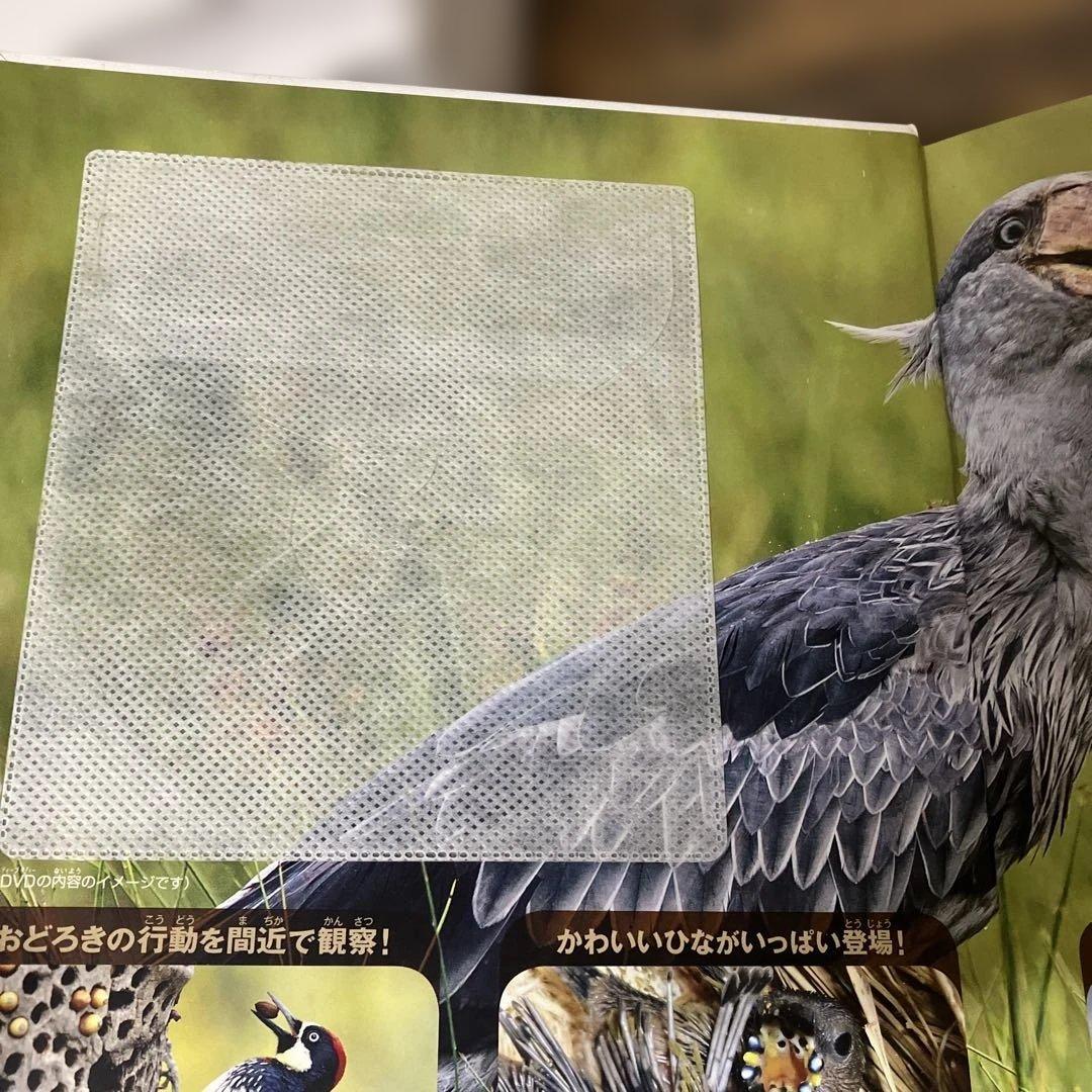 小学館図鑑NEO 　18冊 セット 一部DVD付き　小学館　図鑑　NEO