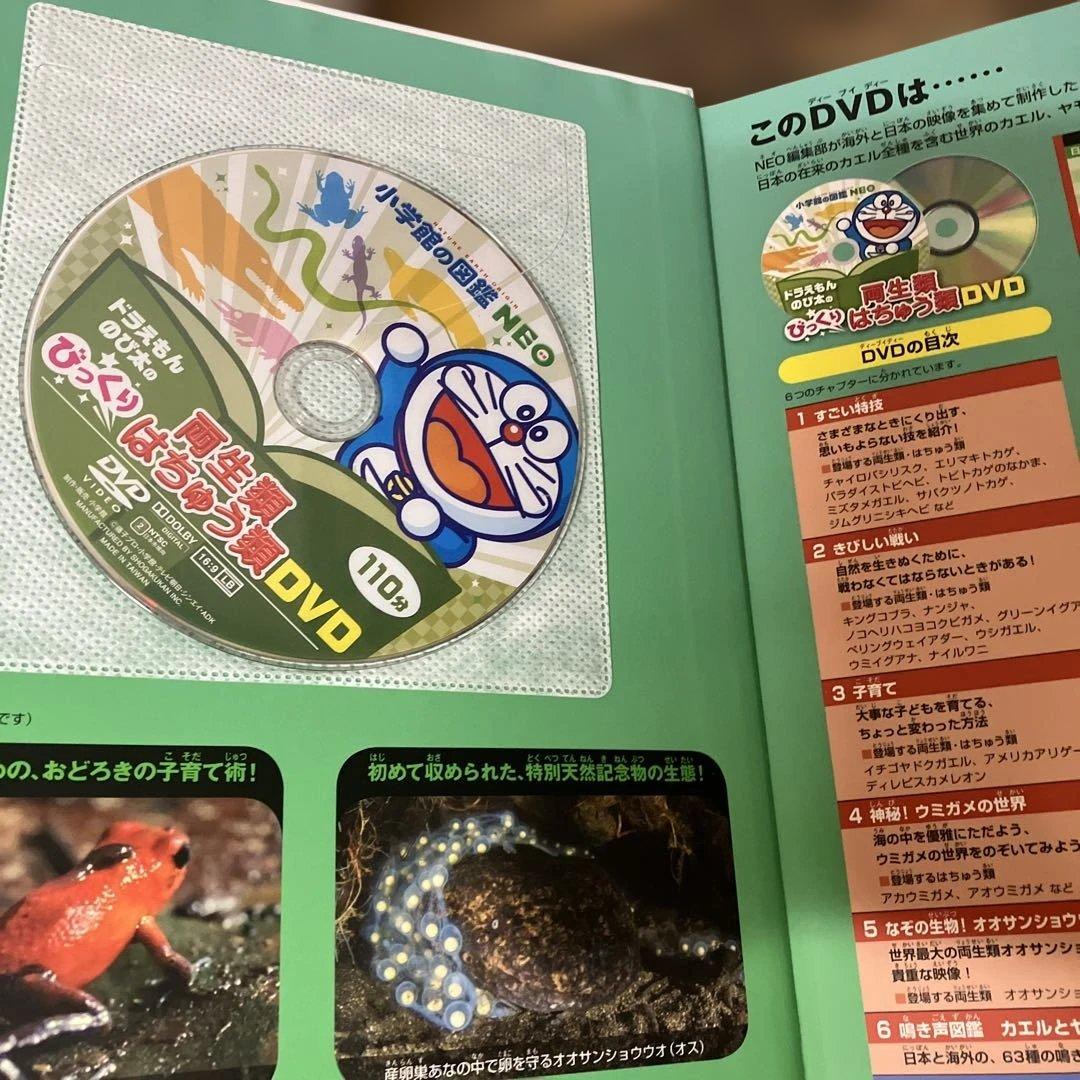 小学館図鑑NEO 　18冊 セット 一部DVD付き　小学館　図鑑　NEO