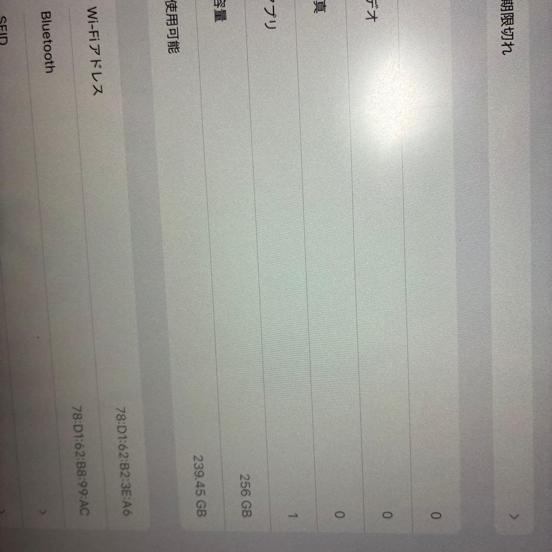 美品 iPad Pro 12.9インチ 第4世代 スペースグレー 256GB