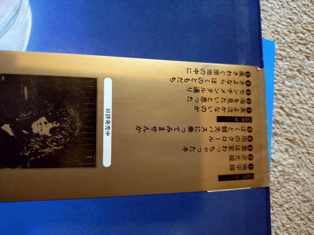 森田童子　カテドラル聖マリア大聖堂　ライブLPレコード