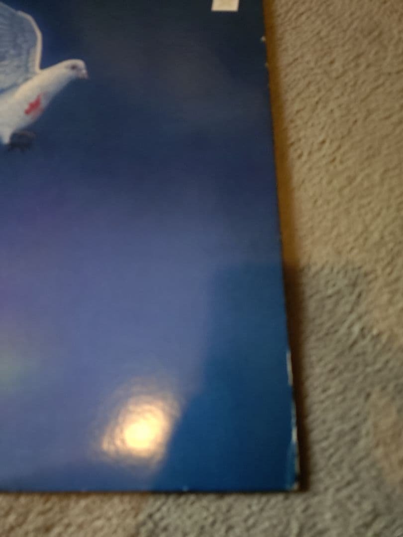 森田童子　カテドラル聖マリア大聖堂　ライブLPレコード