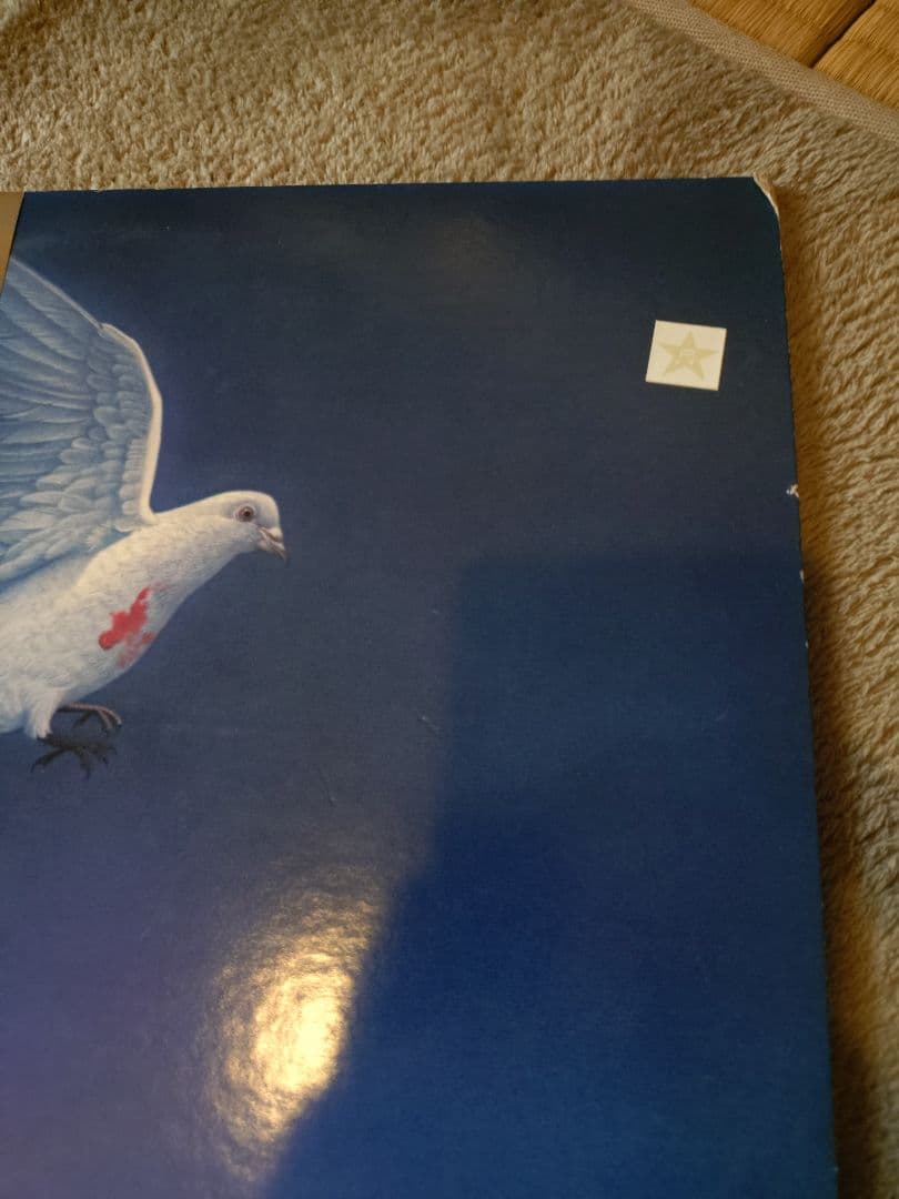 森田童子　カテドラル聖マリア大聖堂　ライブLPレコード