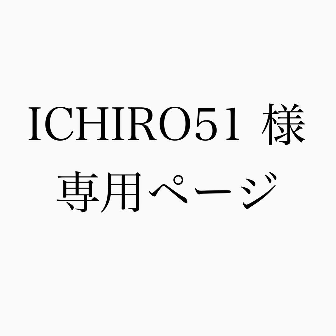 【レア】BRIEFING/ ブリーフィング×ビームス別注デザイントートバッグ