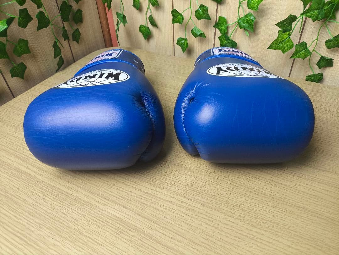 WINDY ウィンディ ボクシンググローブ12oz レガースM 青