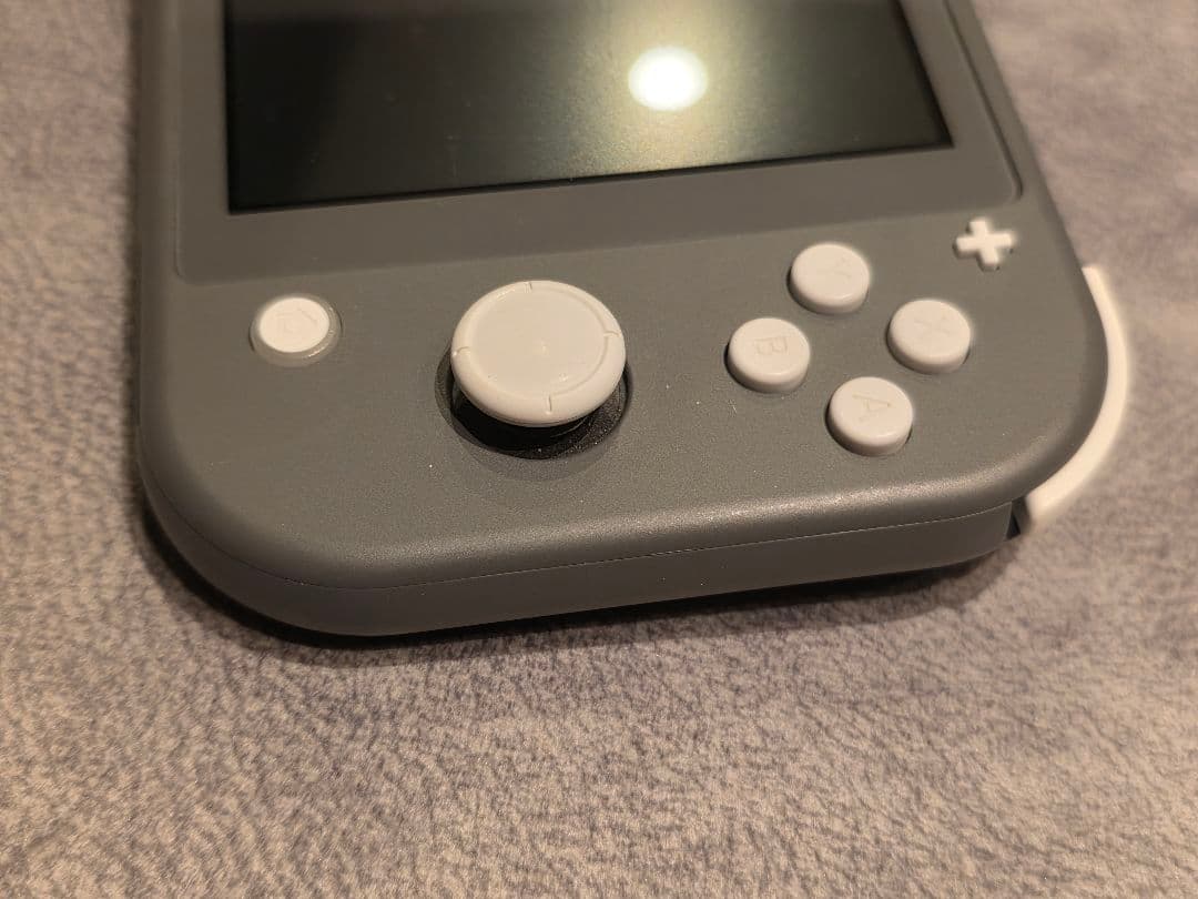 Switchライト グレー 2019