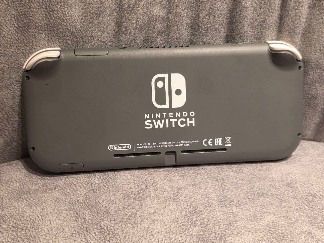 Switchライト グレー 2019