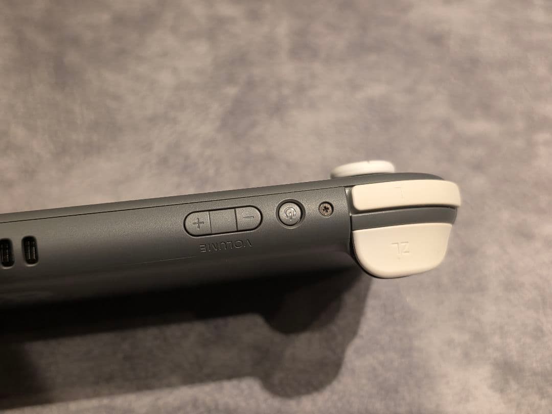 Switchライト グレー 2019