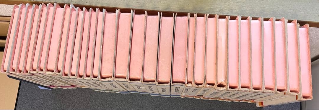 ソニー　トーキングカードプレイヤー　SONY CP-1100