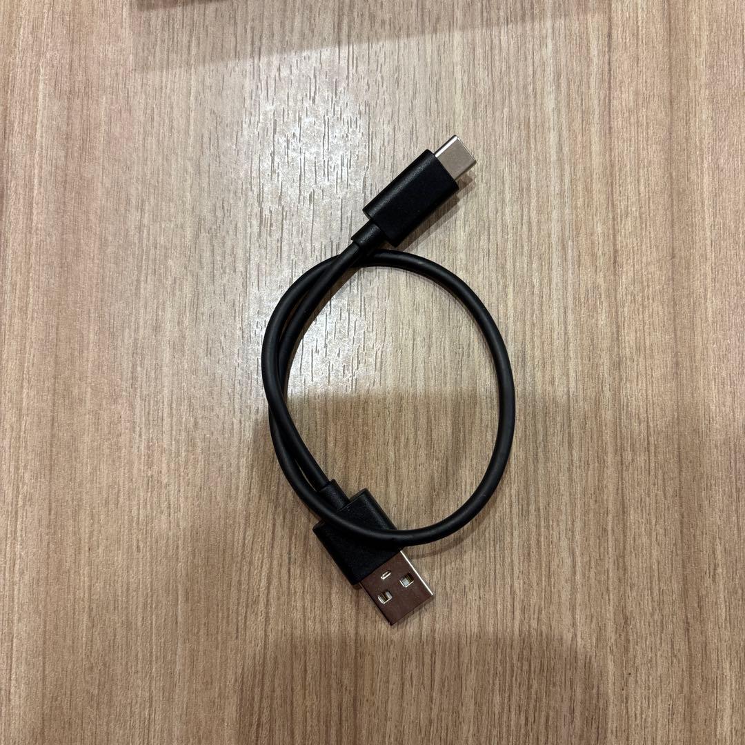 美品 Ottocast PICASOU オットキャスト ピカソウ 2