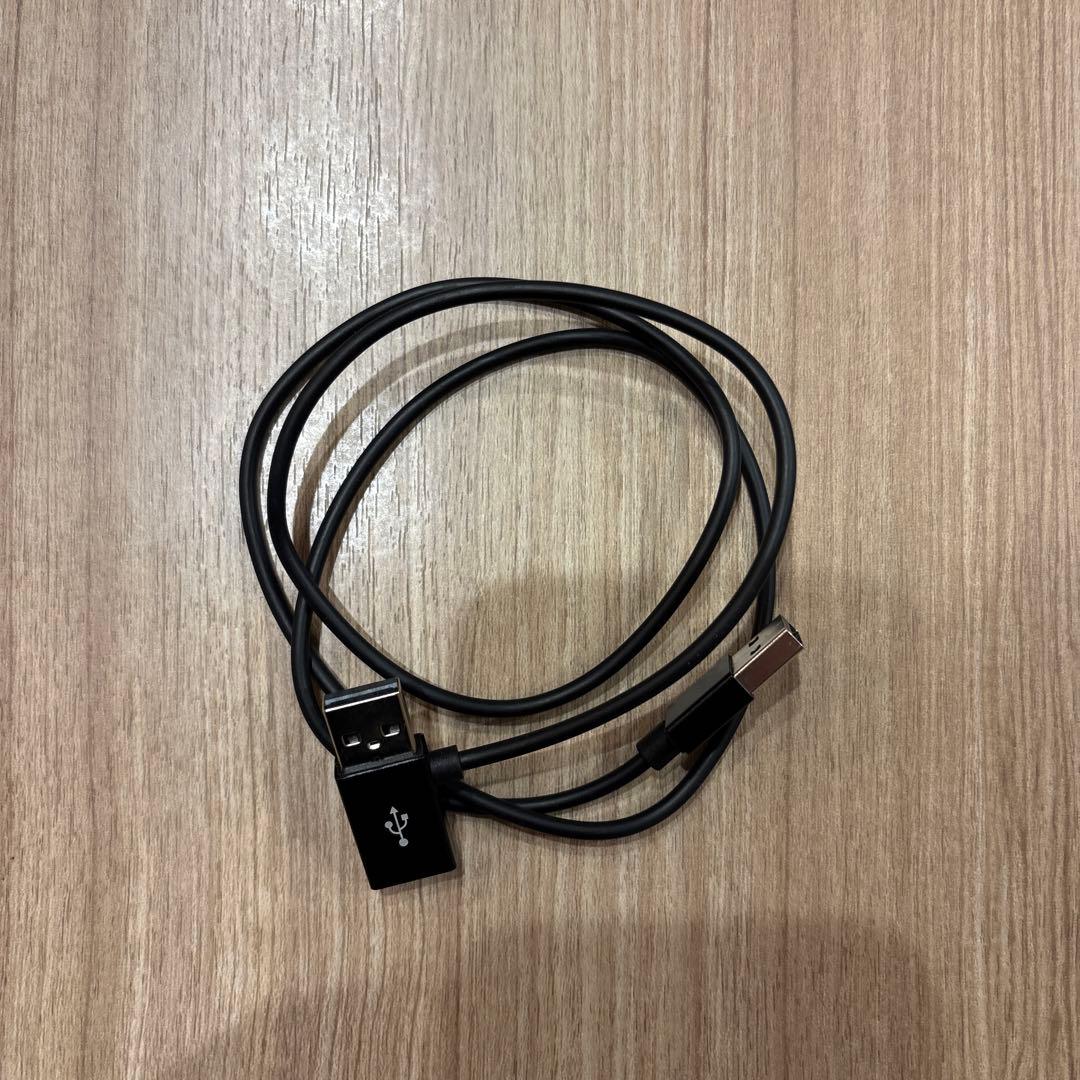 美品 Ottocast PICASOU オットキャスト ピカソウ 2