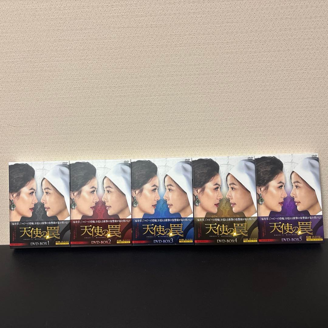美品　天使の罠　DVD BOXセット 全5巻　ユン・ソイ　クォン・ユル