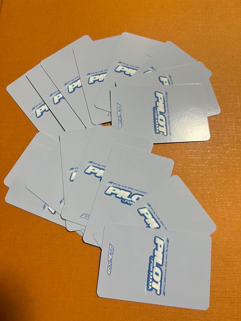 straykids スキズ  ペンミ pilot 特典トレカ 16枚コンプ