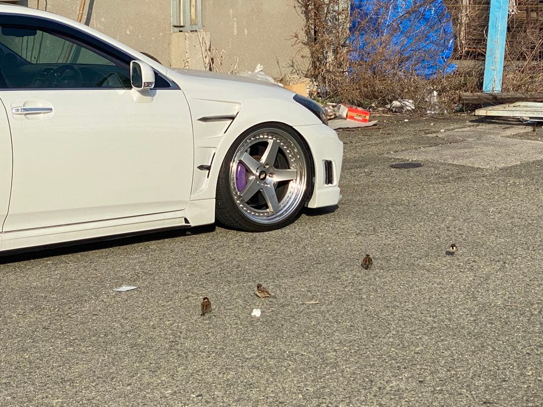 ワーク　ジスタンス　鳳凰